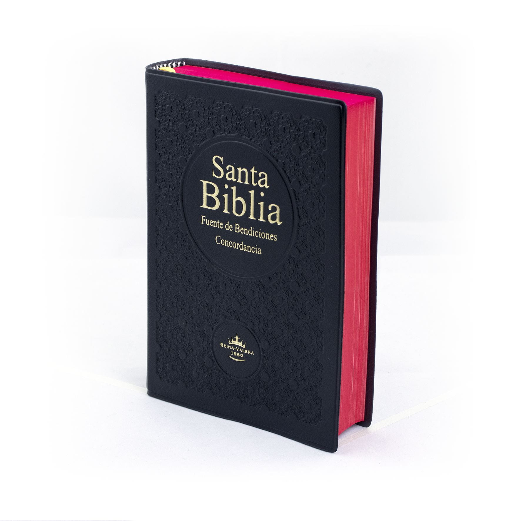 Santa Biblia